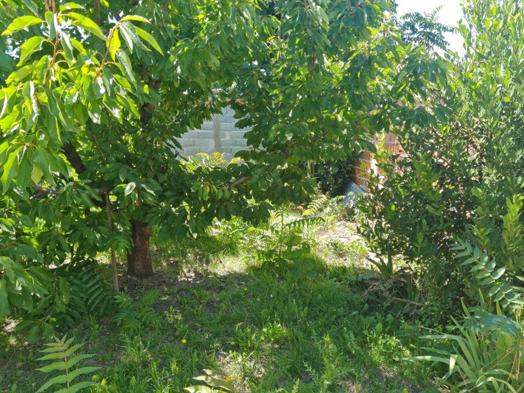 Casa en Venta 2 ambientes, 259m² — Balcarce