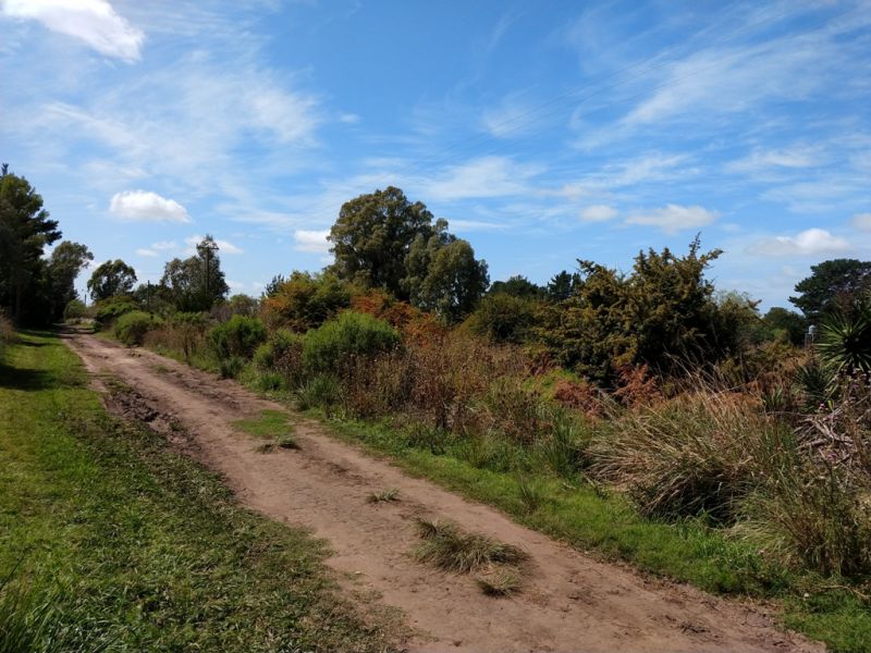 Lote en Venta
