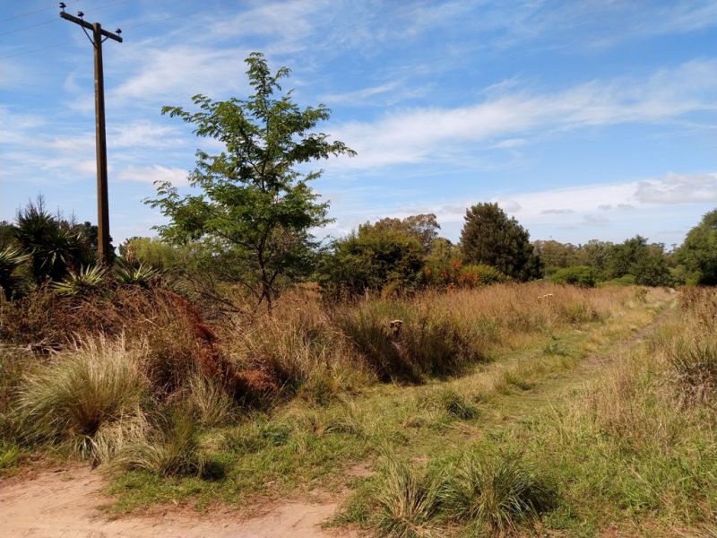 Lote en Venta