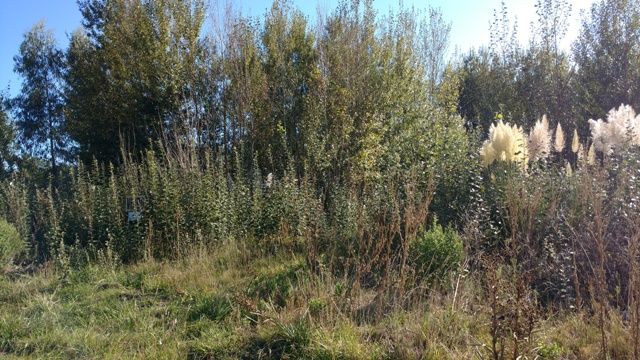 Lote en Venta