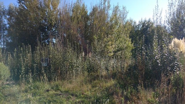 Lote en Venta