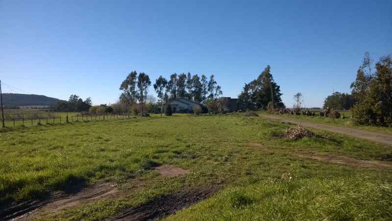 Quinta EN VENTA