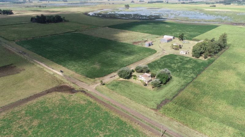 Campo EN VENTA
