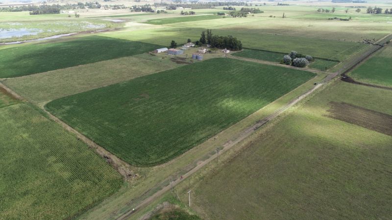 Campo EN VENTA