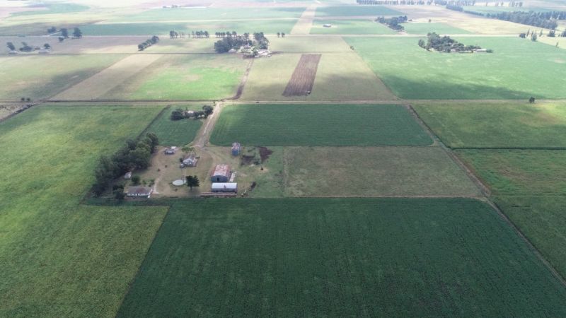 Campo EN VENTA