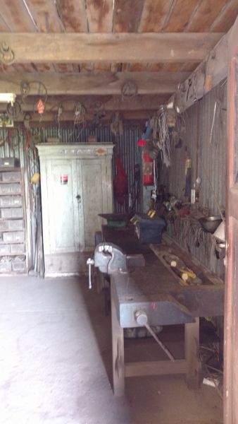 VENTA DE CAMPO EN Balcarce - 20