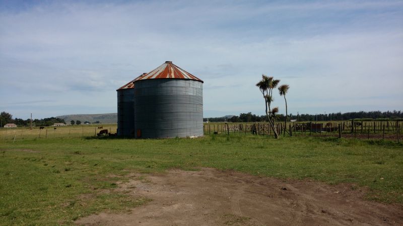VENTA DE CAMPO EN Balcarce - 27