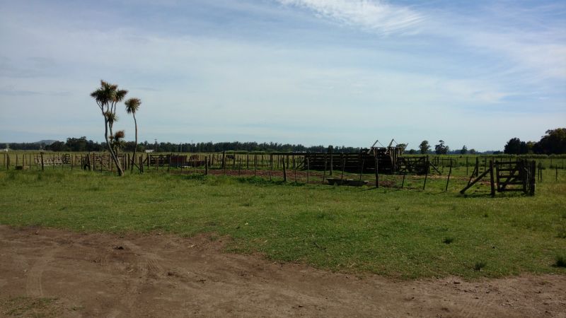 VENTA DE CAMPO EN Balcarce - 28