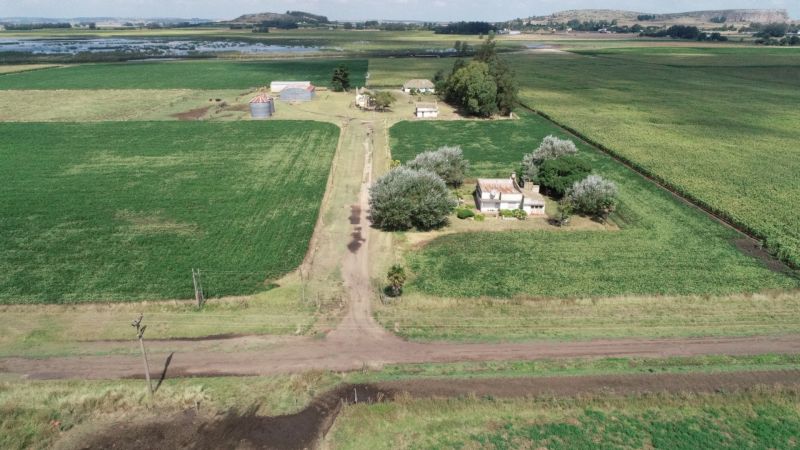 Campo EN VENTA