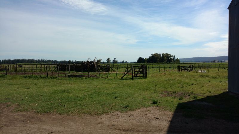 VENTA DE CAMPO EN Balcarce - 29