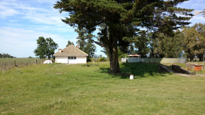 VENTA DE CAMPO EN Balcarce - 30