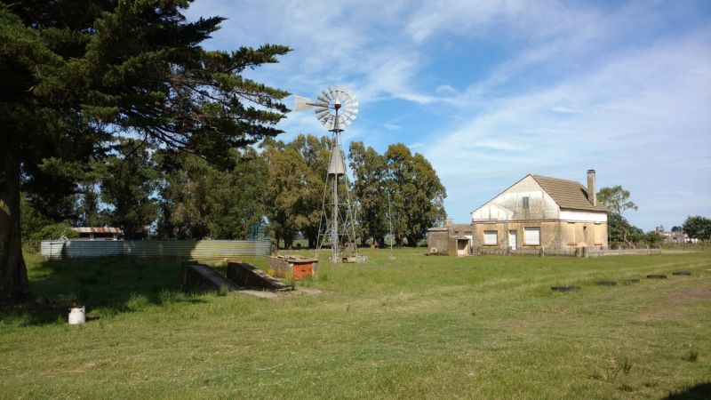 VENTA DE CAMPO EN Balcarce - 31