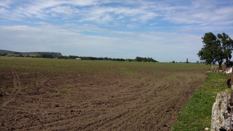 VENTA DE CAMPO EN Balcarce - 32