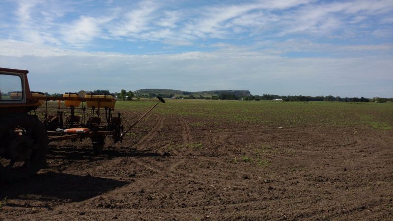VENTA DE CAMPO EN Balcarce - 33