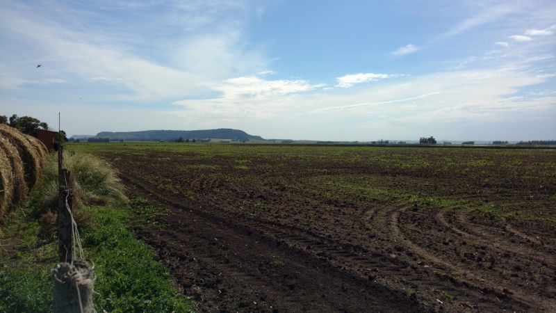 VENTA DE CAMPO EN Balcarce - 34