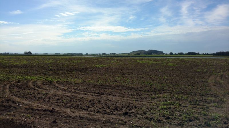 VENTA DE CAMPO EN Balcarce - 35