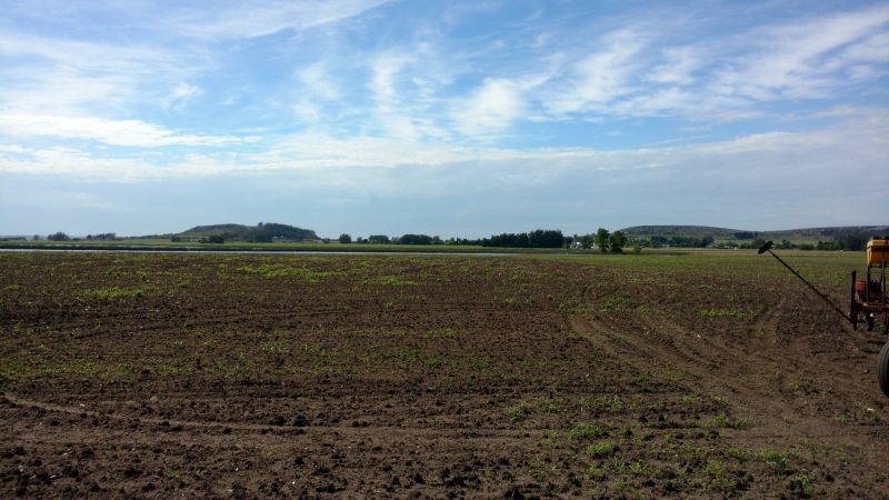 VENTA DE CAMPO EN Balcarce - 36