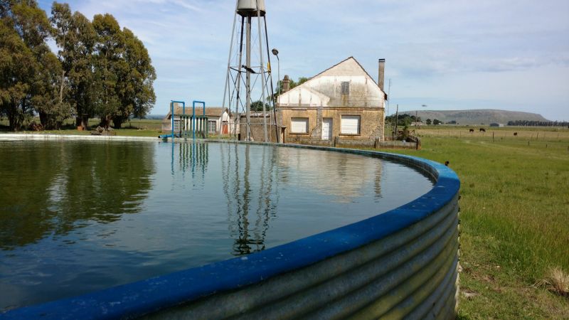 VENTA DE CAMPO EN Balcarce - 38