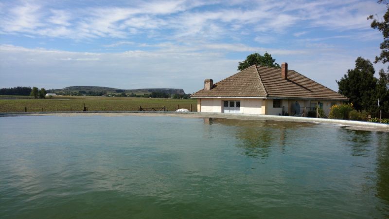 VENTA DE CAMPO EN Balcarce - 41