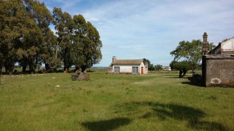 VENTA DE CAMPO EN Balcarce - 44
