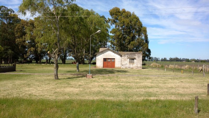 VENTA DE CAMPO EN Balcarce - 49