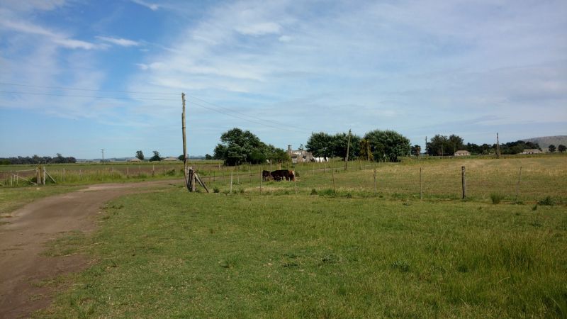 VENTA DE CAMPO EN Balcarce - 50