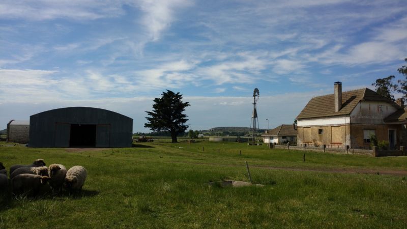 VENTA DE CAMPO EN Balcarce - 54