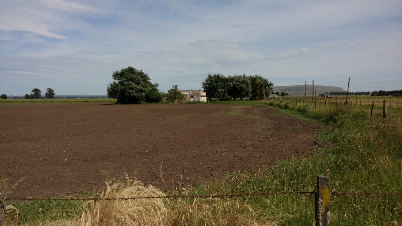 VENTA DE CAMPO EN Balcarce - 55