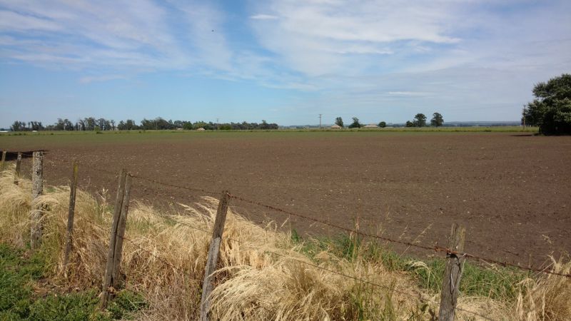 VENTA DE CAMPO EN Balcarce - 56