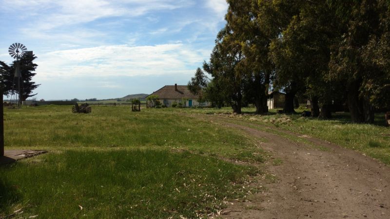 VENTA DE CAMPO EN Balcarce - 57