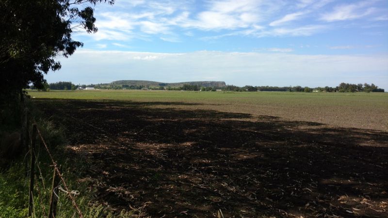 VENTA DE CAMPO EN Balcarce - 58