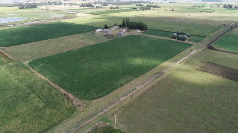 Campo EN VENTA