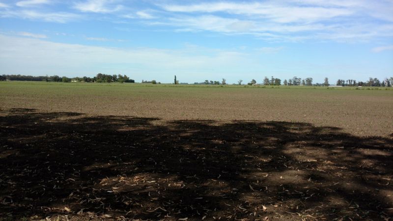 VENTA DE CAMPO EN Balcarce - 59