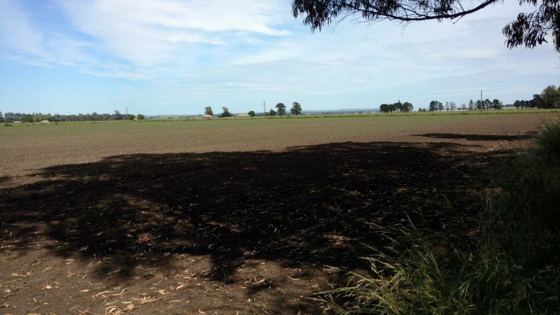VENTA DE CAMPO EN Balcarce - 60