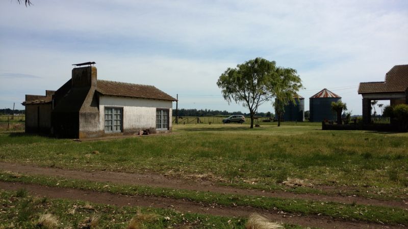 VENTA DE CAMPO EN Balcarce - 63