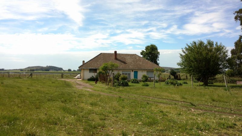 VENTA DE CAMPO EN Balcarce - 64