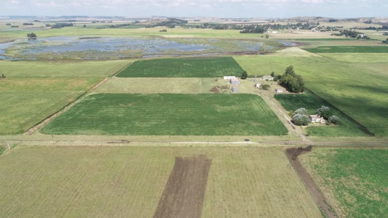 Campo EN VENTA