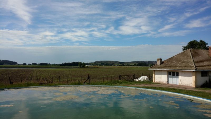 VENTA DE CAMPO EN Balcarce - 69