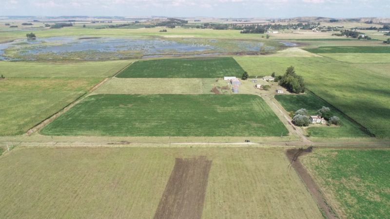 Campo EN VENTA