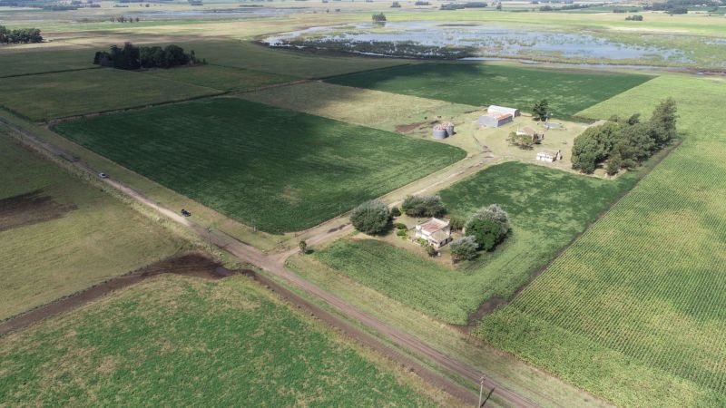 Campo EN VENTA