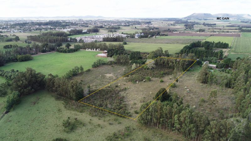 Quinta en Venta