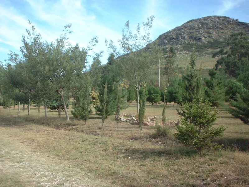 Lote en Venta