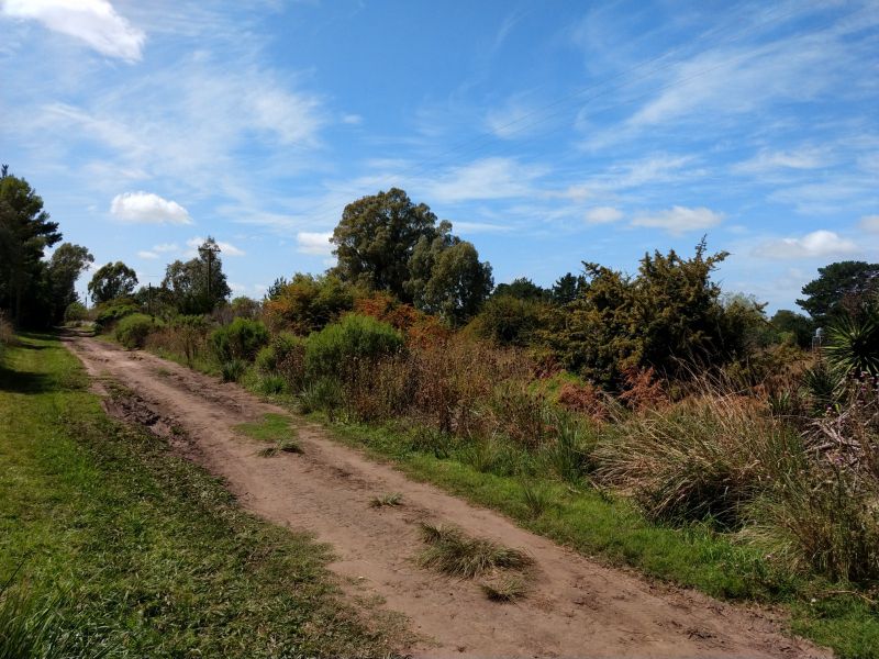 Lote en Venta