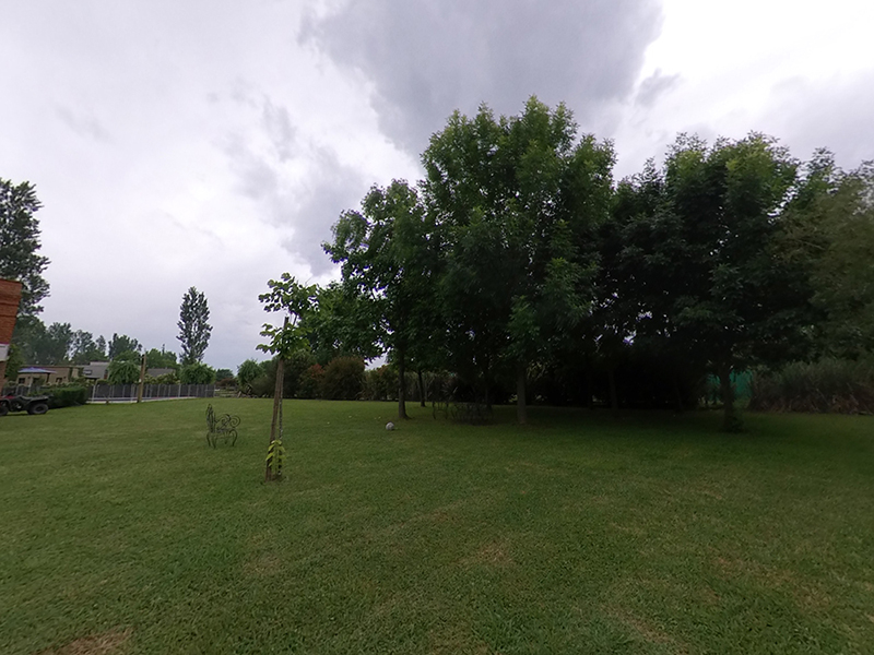 Imagen 4