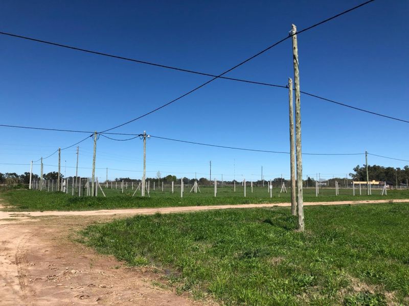 VENTA DE LOTE EN Brandsen - Coronel Brandsen - 7