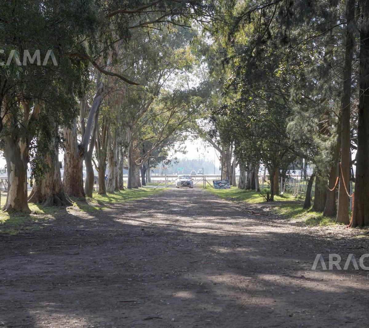 Lote EN VENTA