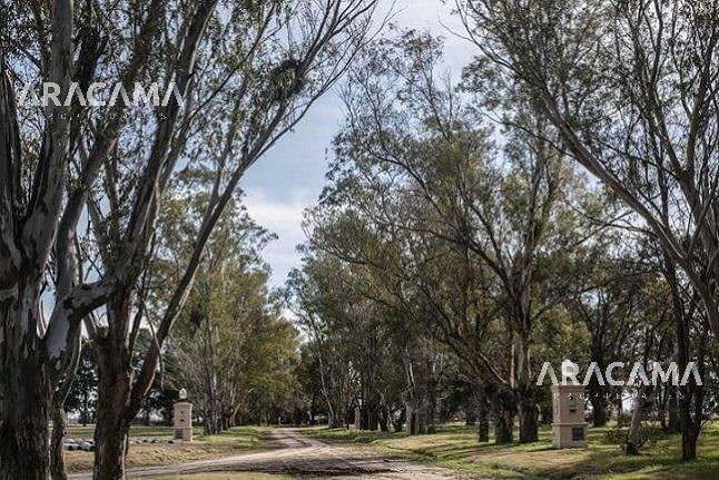 Lote EN VENTA