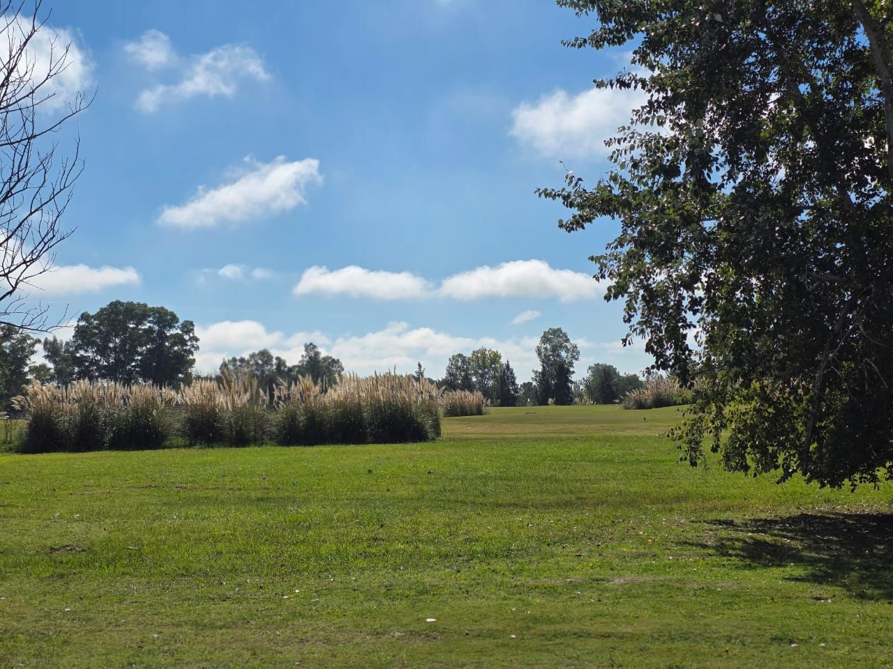 Lote EN VENTA