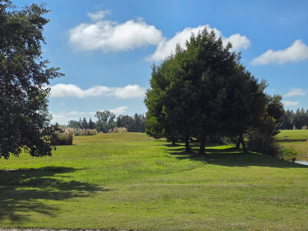 Lote EN VENTA