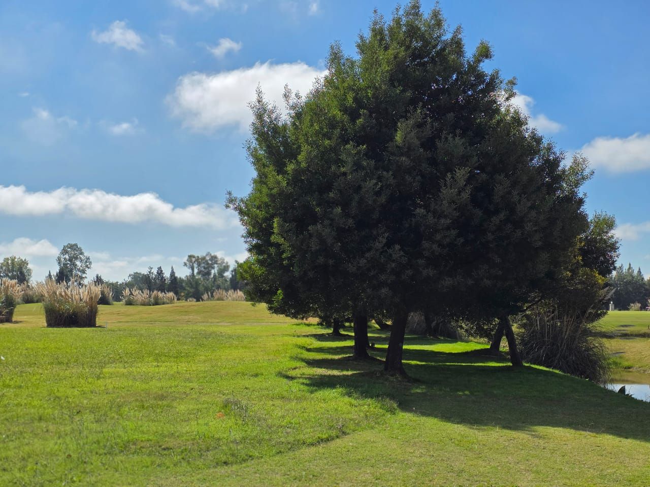 Lote EN VENTA